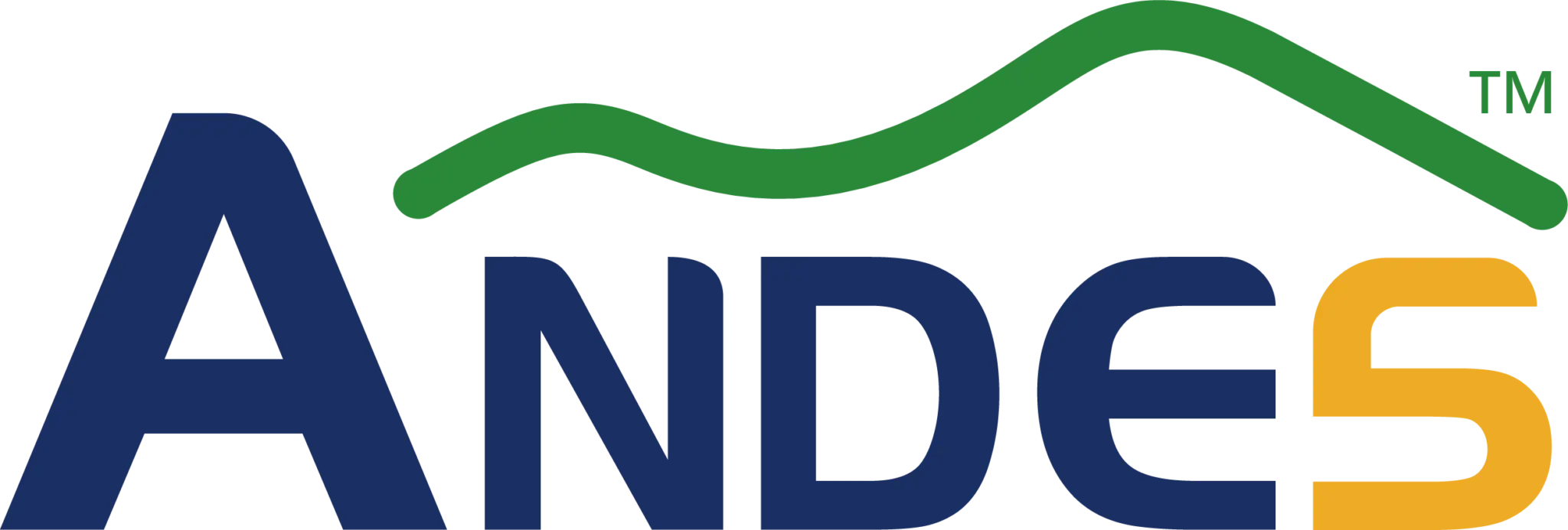 Andes Technology